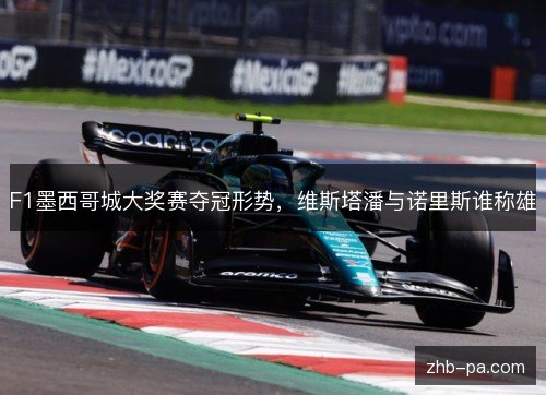 F1墨西哥城大奖赛夺冠形势,维斯塔潘与诺里斯谁称雄 F1墨西哥城大奖赛夺冠形势,维斯塔潘与诺里斯谁称雄